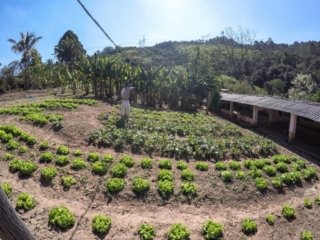 IMG-20171002-WA0055